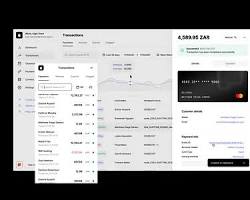Financial tools and apps like Zaccheus, Paystack, Flutterwave, and Opay used by Nigerian entrepreneurs.